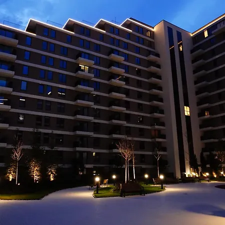 The Daily Nest * Nis