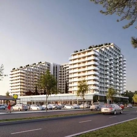 The Daily Nest * Nis