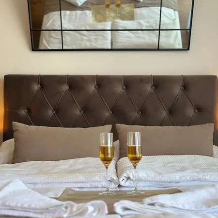 The Daily Nest Ni